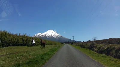 Mahoe - Photo 2