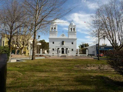 San Carlos - Photo 2