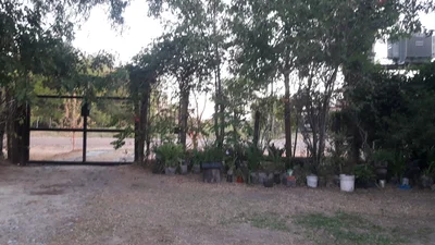 Empedrado - Photo 4