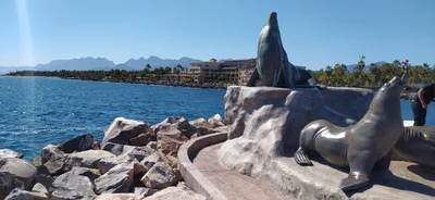 Loreto - Photo 3