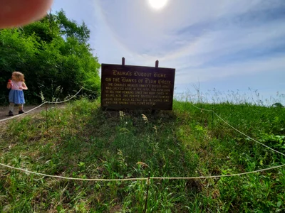 Walnut Grove - Photo 3