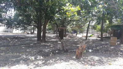 Quibor - Photo 3