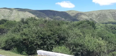 El Rodeo - Photo 2
