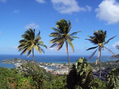 Castries Quarter - Photo 5