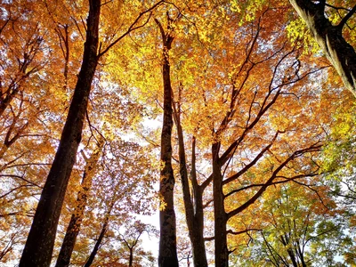 Nanjiang County - Photo 2