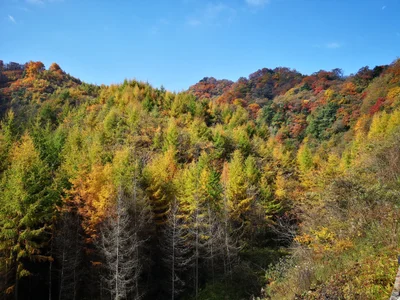 Nanjiang County - Photo 3