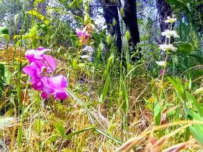 North Fork - Photo 3