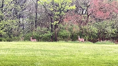 Macomb - Photo 5
