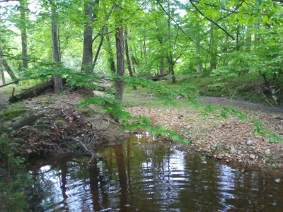 Elkton - Photo 5