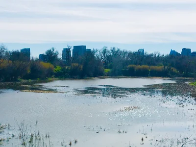 West Sacramento - Photo 5