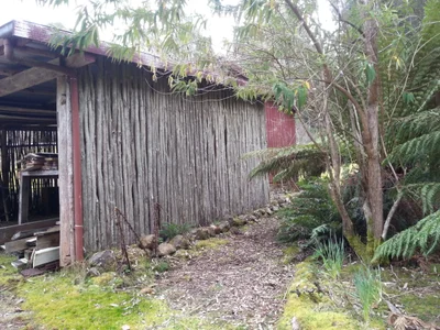 Woodbridge - Photo 2