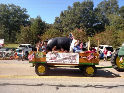 Chapin - Photo 2