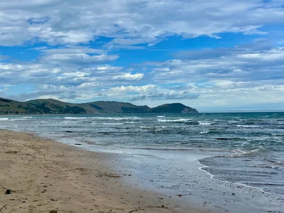 Gisborne Region - Photo 2