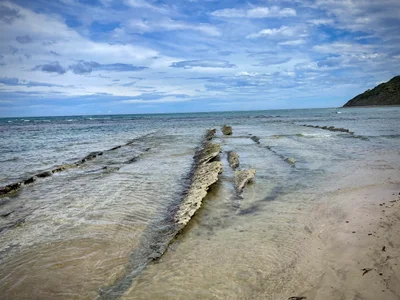 Gisborne Region - Photo 3