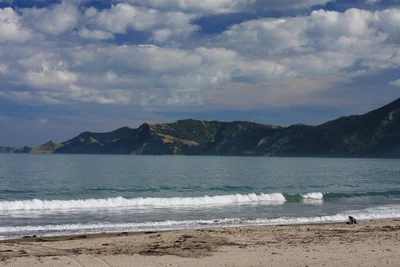 Gisborne Region - Photo 4