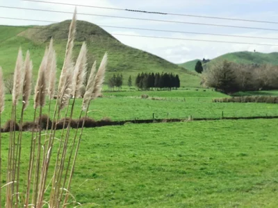 Waitakaruru - Photo 4
