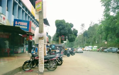 Meenangadi - Photo 4