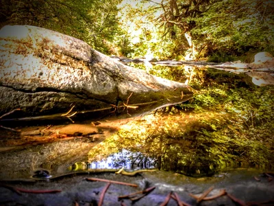 Roseburg - Photo 2