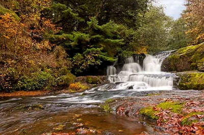 Roseburg - Photo 4