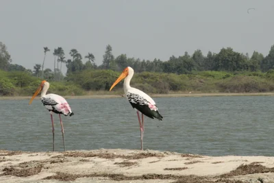 Pulicat - Photo 2