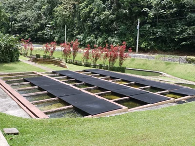 Vivero de Peces de Maricao - Photo 2