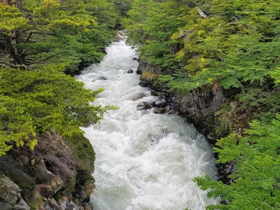 Torres del Paine - Photo 4
