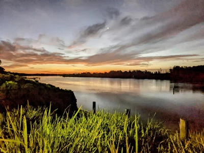 Forster - Photo 2