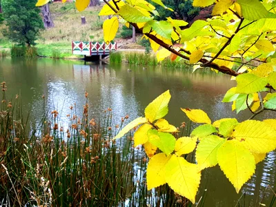 Creswick - Photo 3