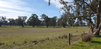 Edenhope - Photo 4