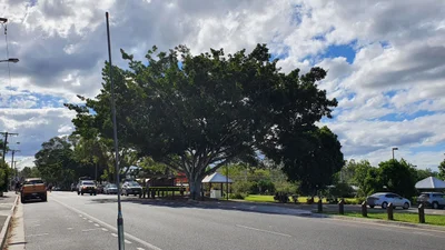 Miriam Vale - Photo 4