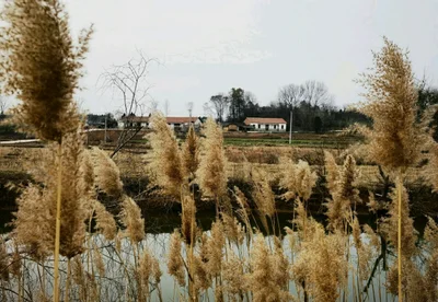 Xiaogan - Photo 3