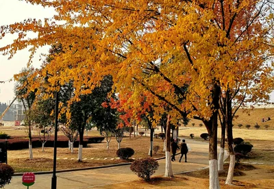 Xiaogan - Photo 4
