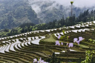Congjiang County - Photo 3