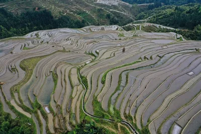 Congjiang County - Photo 4