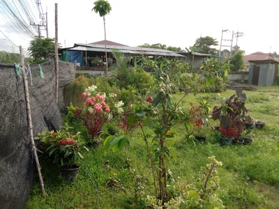Nikhom Phatthana - Photo 3