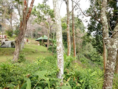 Mae Raem - Photo 2