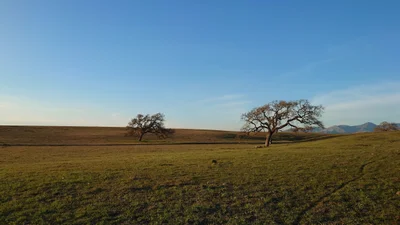 Santa Ynez - Photo 3