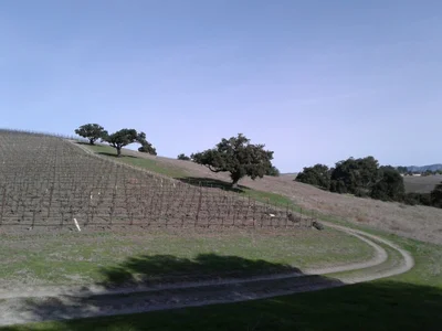 Santa Ynez - Photo 4