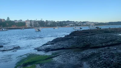 Terrigal - Photo 5
