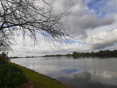 Taree - Photo 2