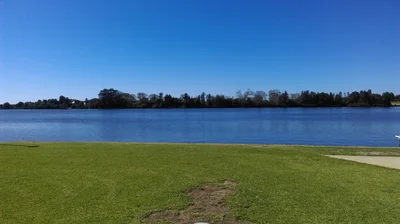 Taree - Photo 3