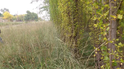 Villa Alberdi - Photo 2