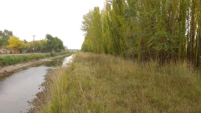 Villa Alberdi - Photo 3