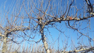 Villa Alberdi - Photo 5
