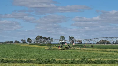 Tatura - Photo 5