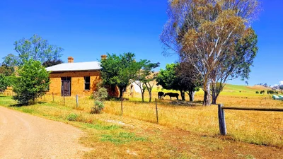 Bonnie Doon - Photo 2