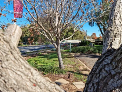 Eugowra - Photo 3