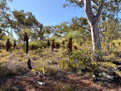 Bindoon - Photo 2