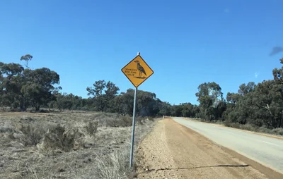 Moulamein - Photo 2