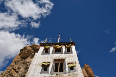 Dhankhar - Photo 2